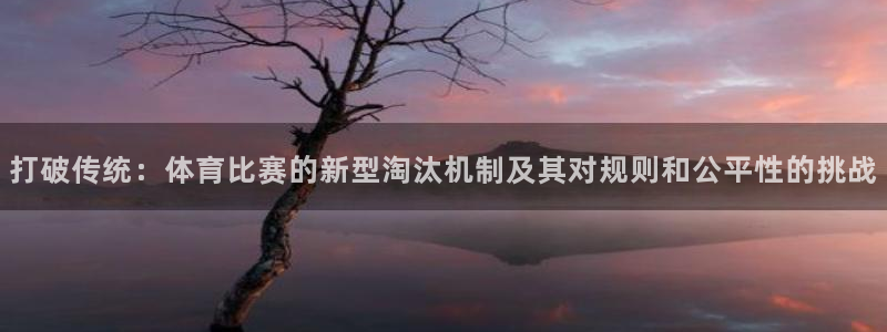 打破传统：体育比赛的新型淘汰机制及其对规则和公平性的挑战