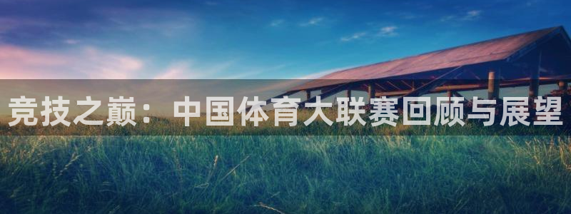 竞技之巅：中国体育大联赛回顾与展望