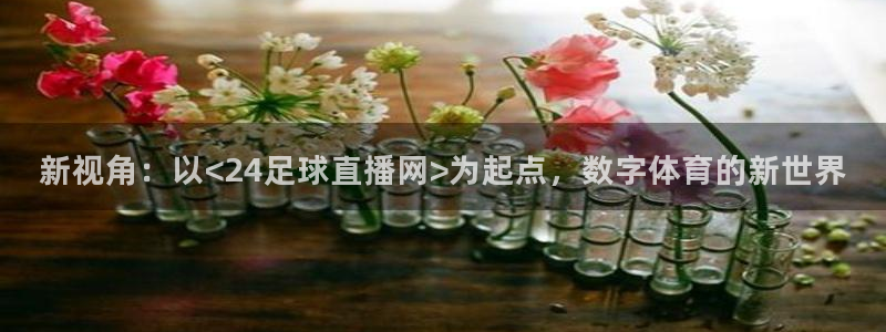 新视角：以<24足球直播网>为起点，数字体育的新世界
