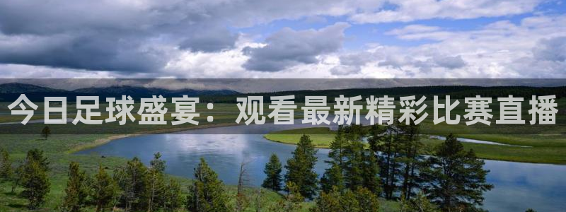 今日足球盛宴：观看最新精彩比赛直播