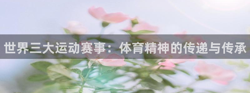 世界三大运动赛事：体育精神的传递与传承