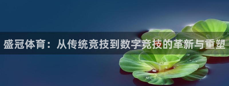 盛冠体育：从传统竞技到数字竞技的革新与重塑