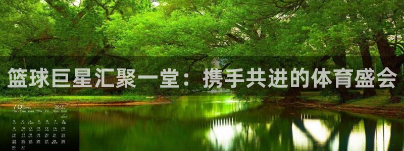 篮球巨星汇聚一堂：携手共进的体育盛会