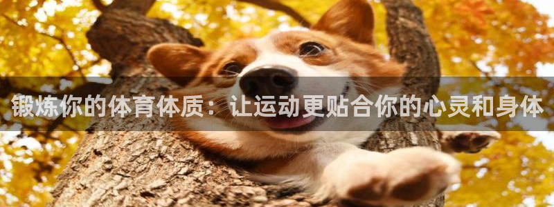 锻炼你的体育体质：让运动更贴合你的心灵和身体