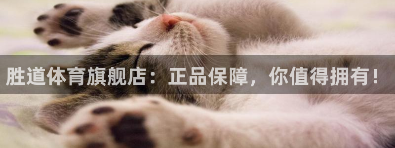 胜道体育旗舰店：正品保障，你值得拥有！
