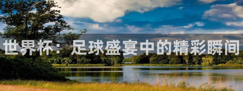 世界杯：足球盛宴中的精彩瞬间
