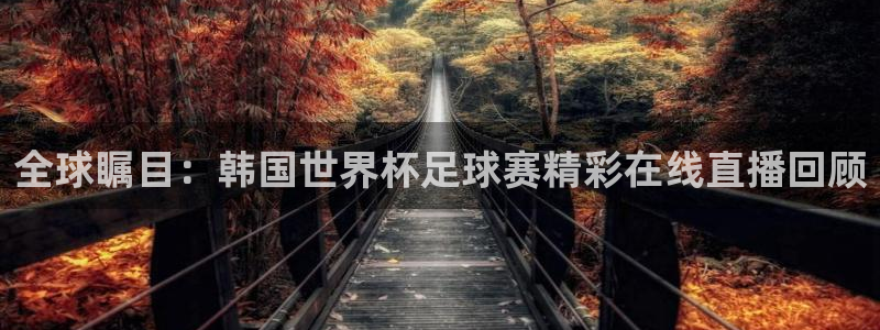 全球瞩目：韩国世界杯足球赛精彩在线直播回顾