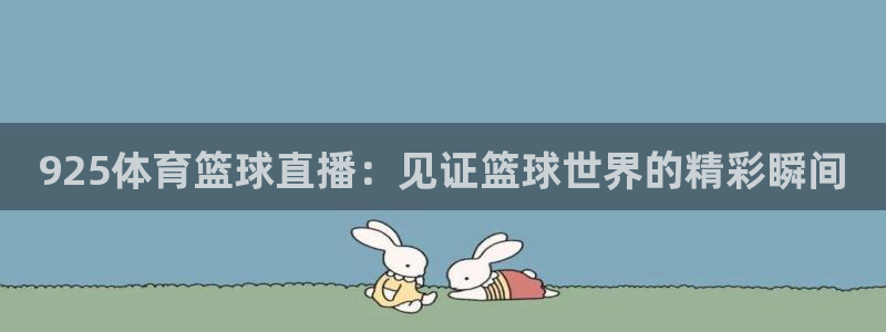 925体育篮球直播：见证篮球世界的精彩瞬间