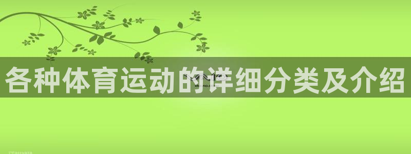 各种体育运动的详细分类及介绍
