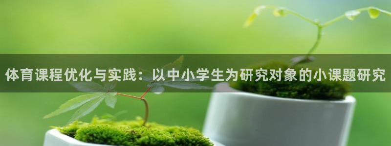 体育课程优化与实践：以中小学生为研究对象的小课题研究