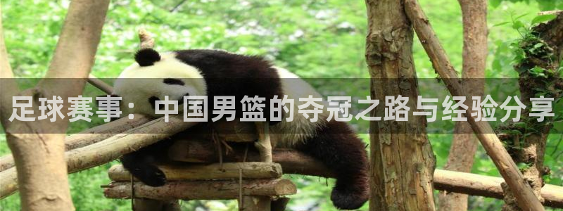 足球赛事：中国男篮的夺冠之路与经验分享