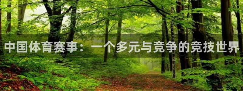 中国体育赛事：一个多元与竞争的竞技世界
