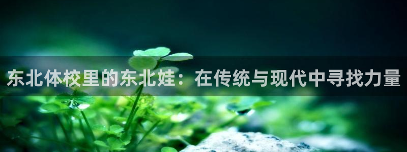 东北体校里的东北娃：在传统与现代中寻找力量