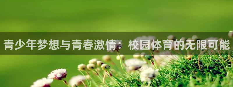 青少年梦想与青春激情：校园体育的无限可能