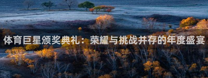 体育巨星颁奖典礼：荣耀与挑战并存的年度盛宴