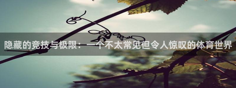 隐藏的竞技与极限：一个不太常见但令人惊叹的体育世界