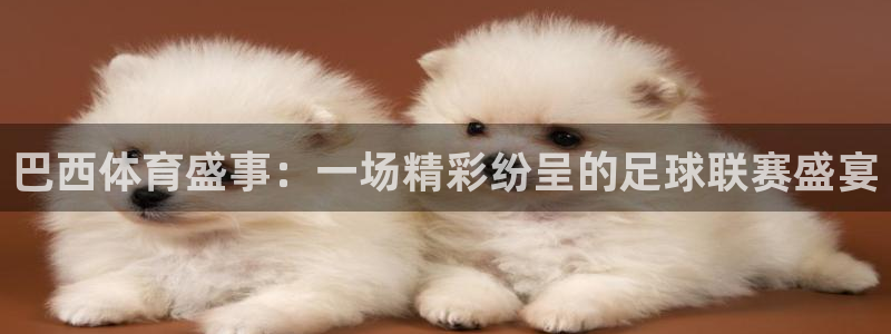 巴西体育盛事：一场精彩纷呈的足球联赛盛宴
