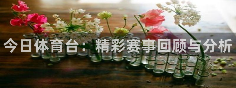 今日体育台：精彩赛事回顾与分析