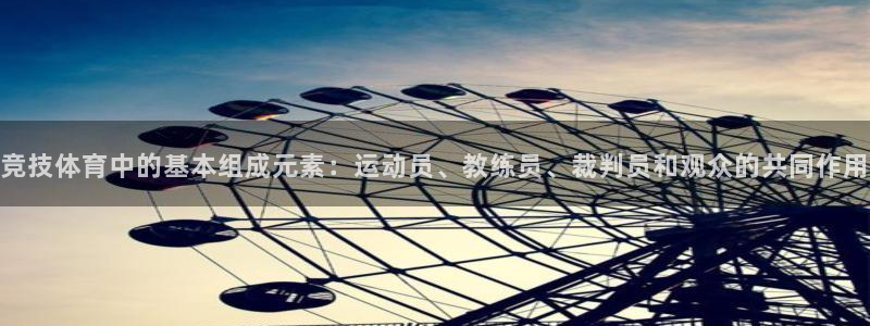 竞技体育中的基本组成元素：运动员、教练员、裁判员和观众的共同作用