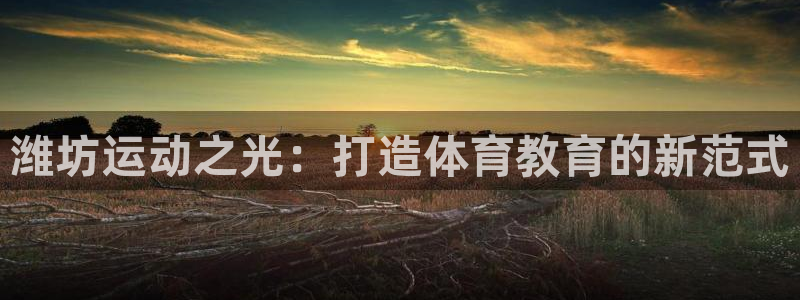 潍坊运动之光：打造体育教育的新范式