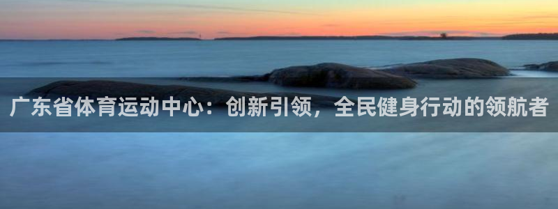 广东省体育运动中心：创新引领，全民健身行动的领航者