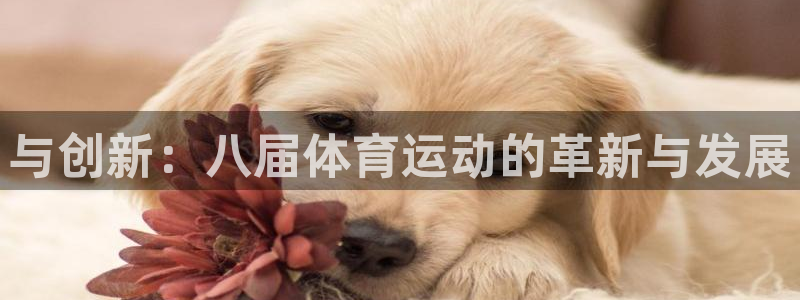 与创新：八届体育运动的革新与发展