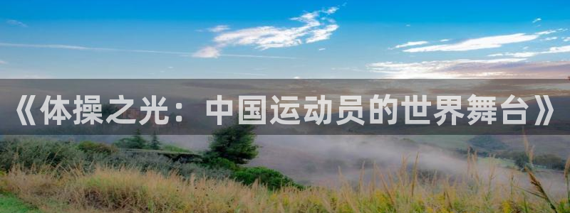 《体操之光：中国运动员的世界舞台》