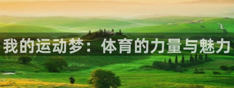 我的运动梦：体育的力量与魅力