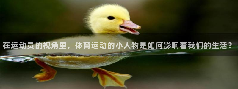 在运动员的视角里，体育运动的小人物是如何影响着我们的生活？
