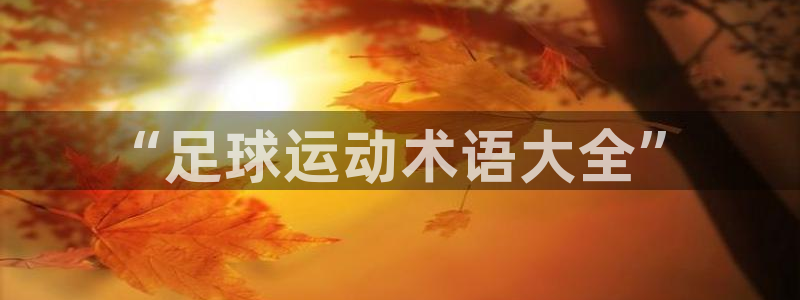 “足球运动术语大全”