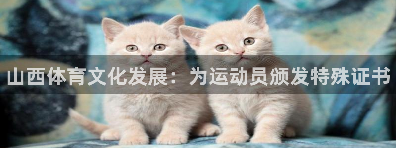 山西体育文化发展：为运动员颁发特殊证书