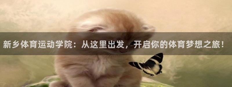新乡体育运动学院：从这里出发，开启你的体育梦想之旅！