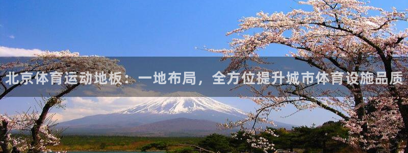 北京体育运动地板：一地布局，全方位提升城市体育设施品质