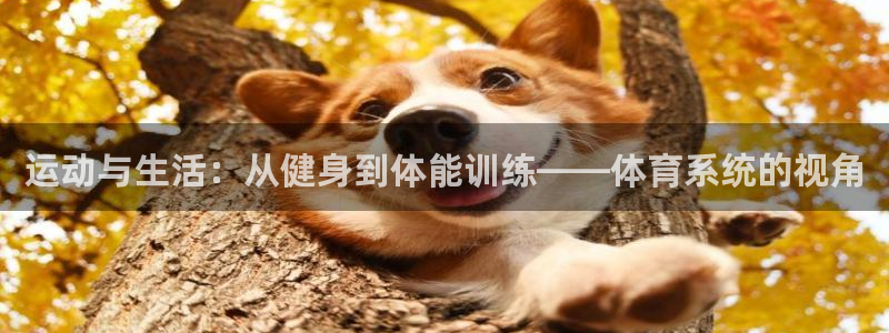 运动与生活：从健身到体能训练——体育系统的视角