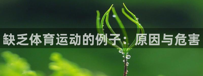 缺乏体育运动的例子：原因与危害
