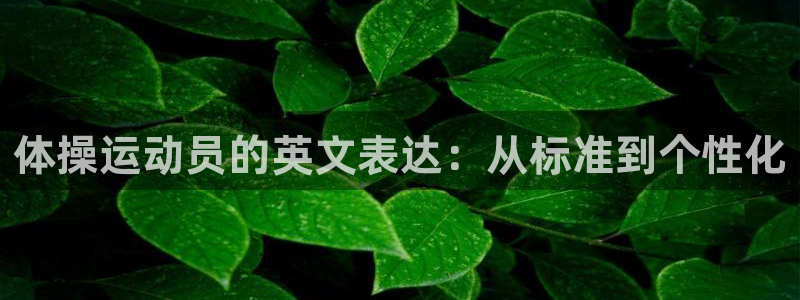 体操运动员的英文表达：从标准到个性化