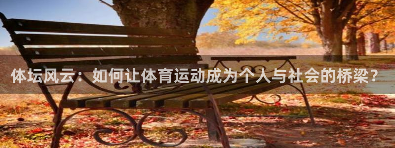 体坛风云：如何让体育运动成为个人与社会的桥梁？
