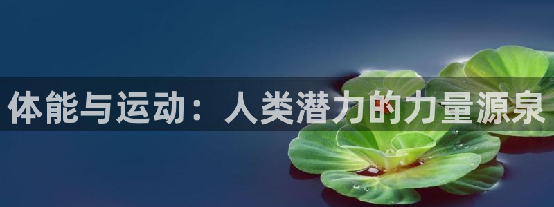 体能与运动：人类潜力的力量源泉