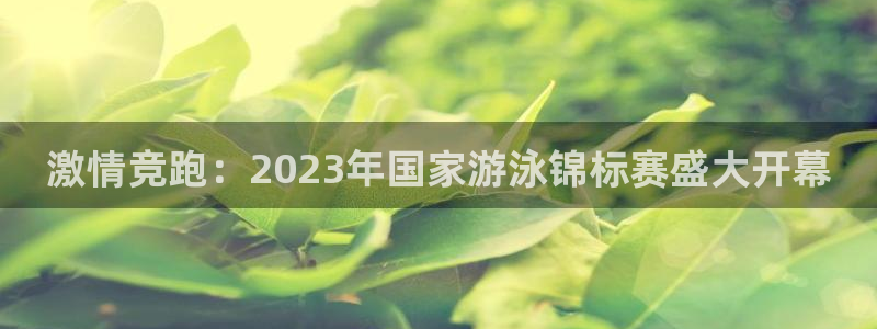 激情竞跑：2023年国家游泳锦标赛盛大开幕