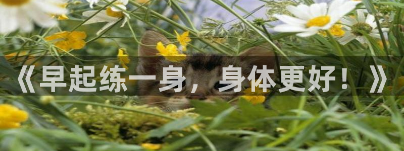 《早起练一身，身体更好！》